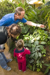 family looking at plants