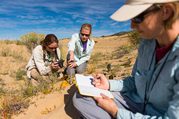 Conservation data collection