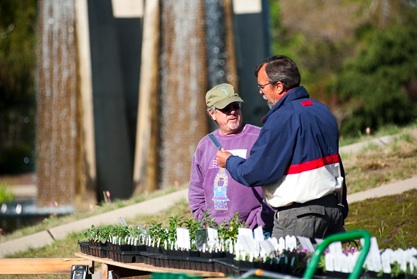 At the plant sale