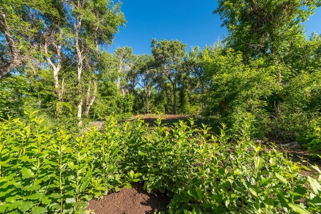 Riparian Demonstration Garden