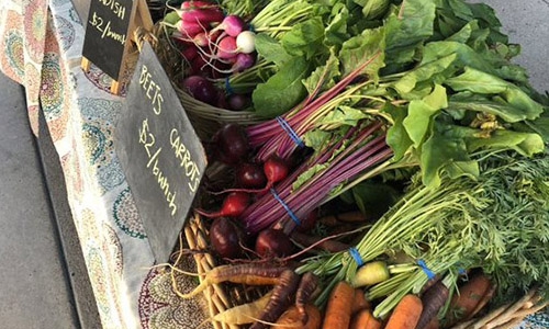 Farm stand