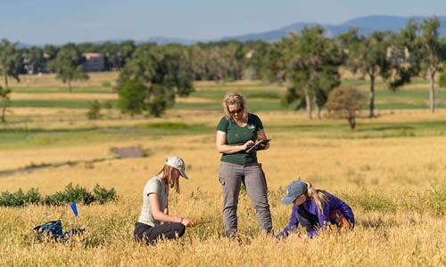 Scientists researching at golf course