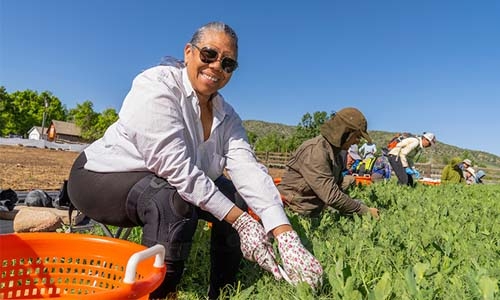 Chatfield CSA thumbnail