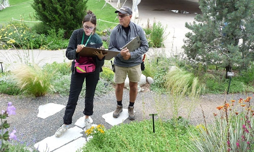 Plant mapping intern thumbnail