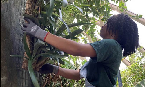 intern with treehouse display thumb