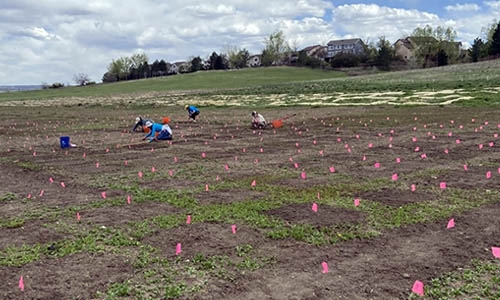 trail plot at Chatfield Farms thumbnail