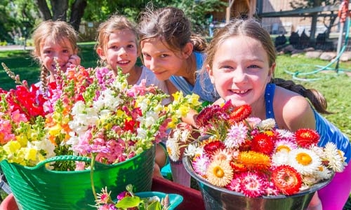 Four little girls smiling over buckets of flowers