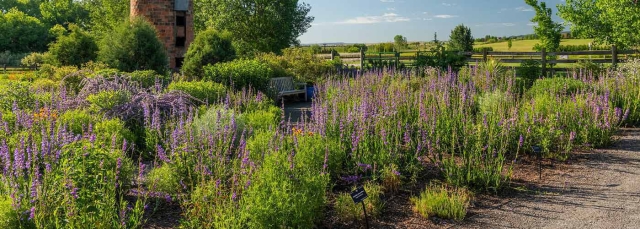 Chatfield Farms in the summer