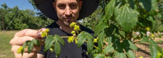 Hop Festival at Chatfield Farms