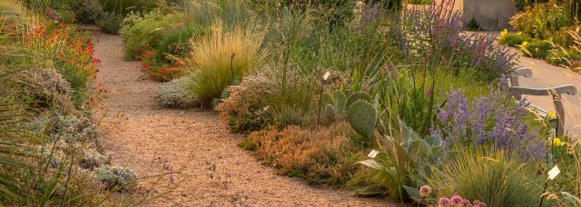 Water-Smart Garden